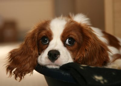 Placeholder Gallery Image