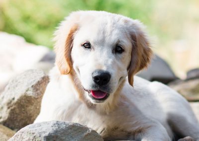 Placeholder Gallery Image